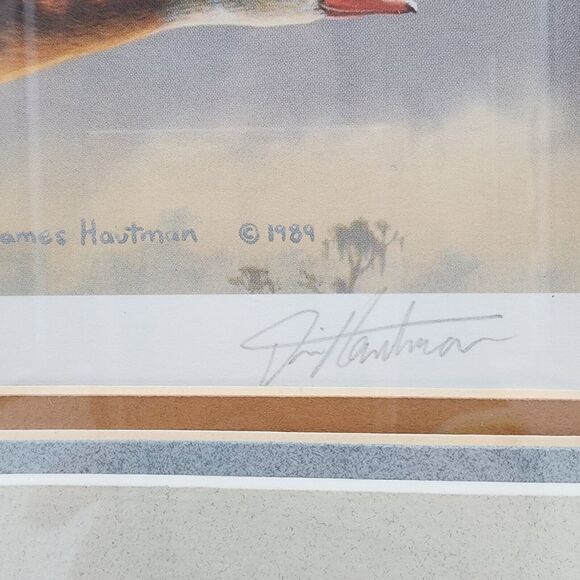 James Hautman 1990 Federal Duck Stamp Print With Stamp Whistling Tree Ducks 1989 - Picture 10 of 13